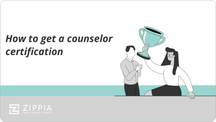 Education Counselor Certification Requirements